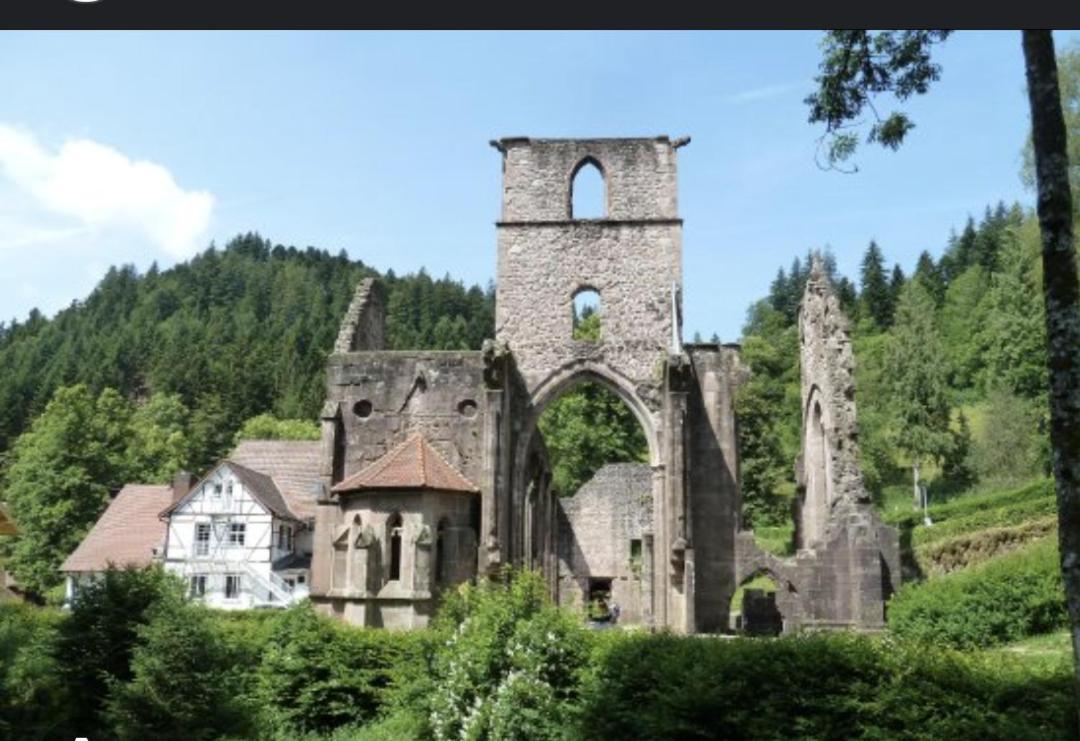 Badischer Neubau-Ruhe-Kunst-Natur Rheinau Exterior foto