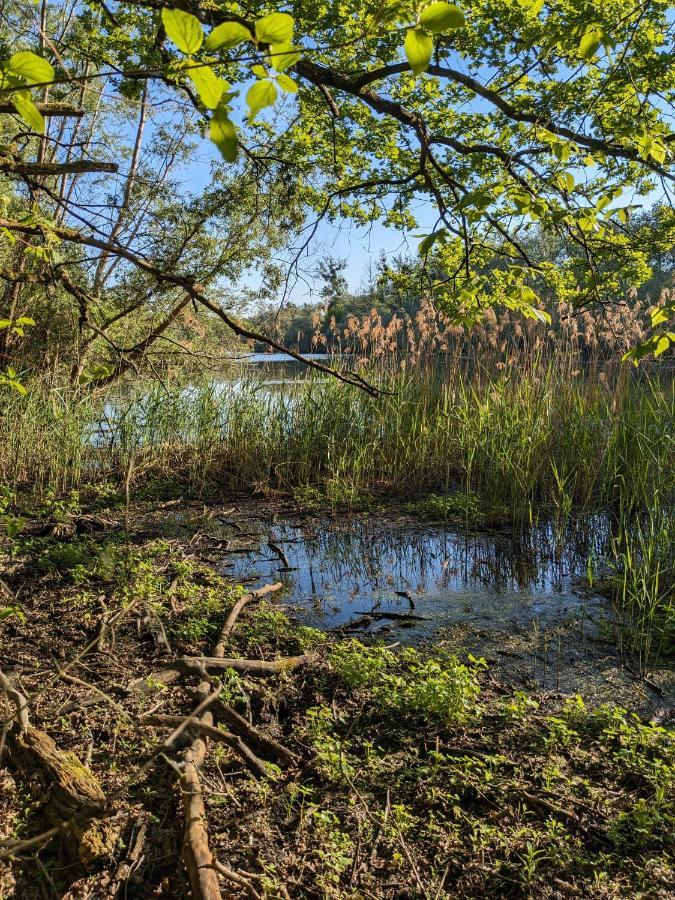Badischer Neubau-Ruhe-Kunst-Natur Rheinau Exterior foto