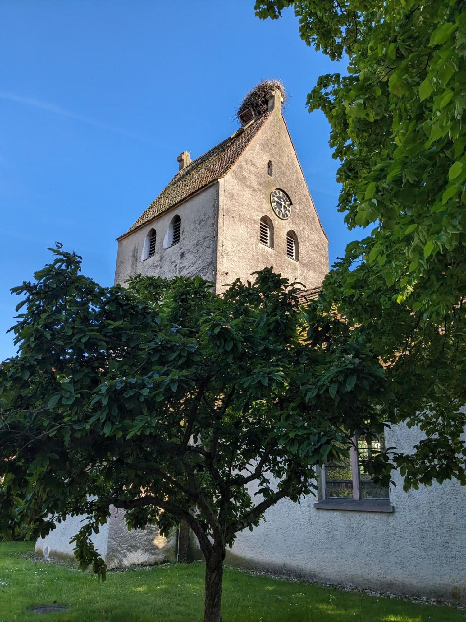 Badischer Neubau-Ruhe-Kunst-Natur Rheinau Exterior foto